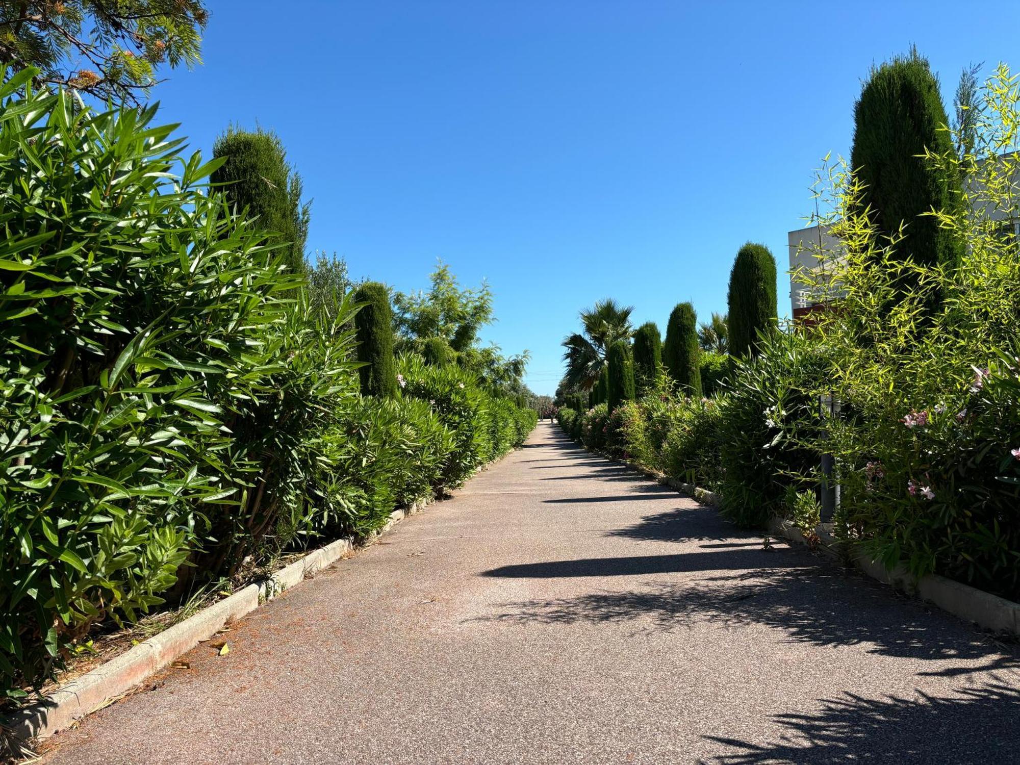 Beachside Apartment With Pool & Garden In Juan Les Pins อองทีบส์ ภายนอก รูปภาพ