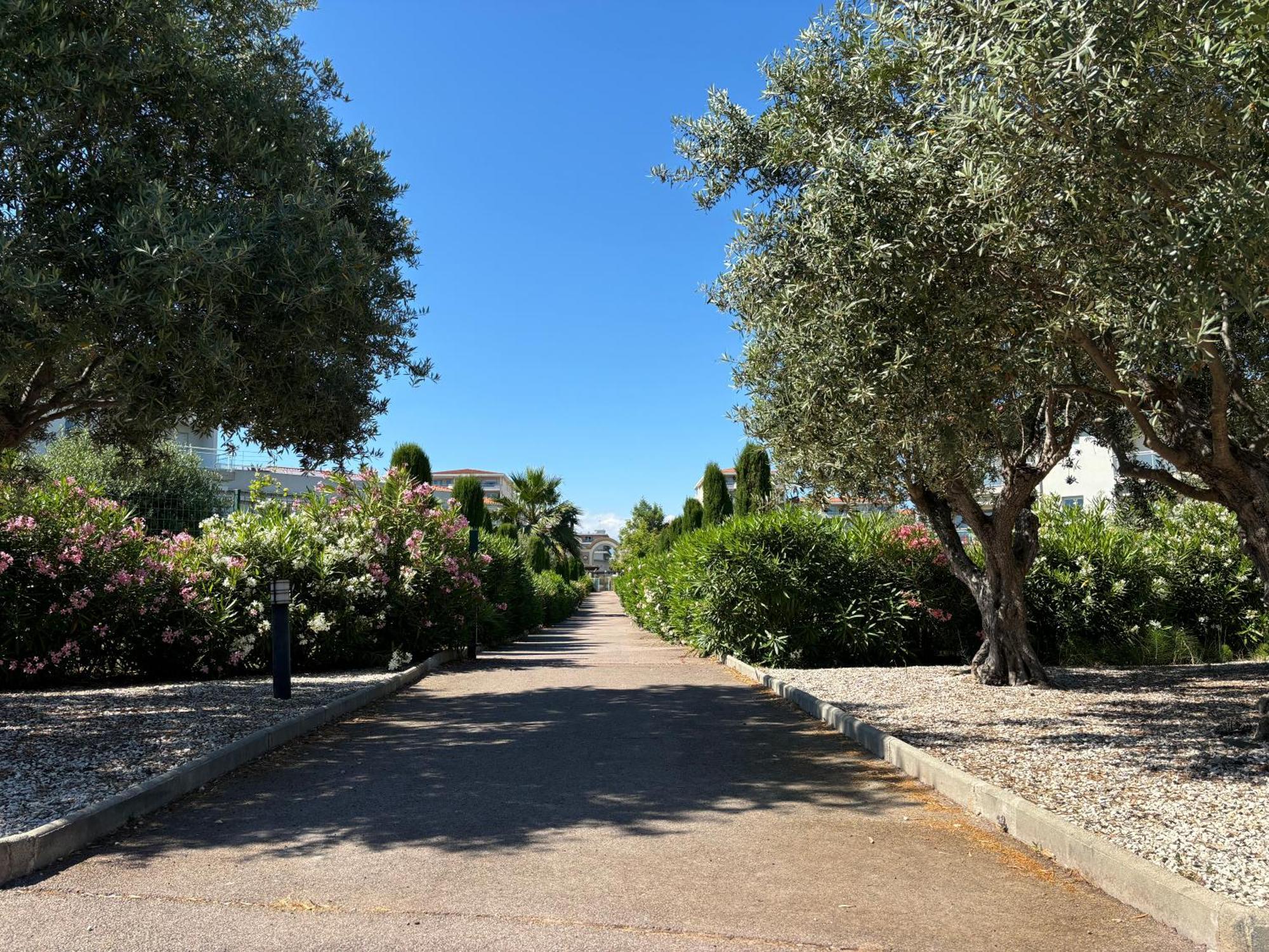Beachside Apartment With Pool & Garden In Juan Les Pins อองทีบส์ ภายนอก รูปภาพ